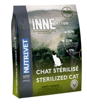 Conseil Adopter Et Prendre Soin De Son Chat La Ptite Noisette