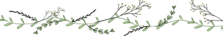 illustration-vegetale-feuilles